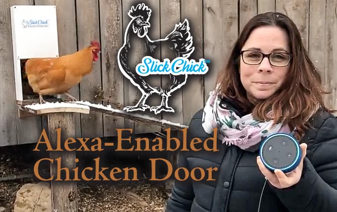 Alexa Enabled Chicken door. Slick Chick door